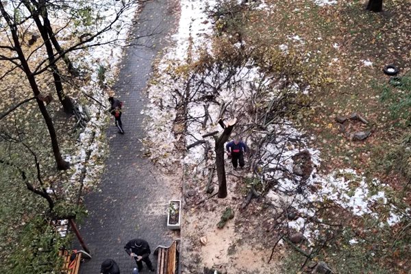 Екипи разчистват паднали клони в столичен квартал
Снимка: 24 часа