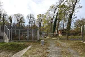 Пловдив ще опита с европари да отвори
частично зоопарка, изоставен от години