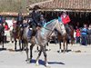 Парад на състезателни коне събра стотици на Тодоровден в Арбанаси