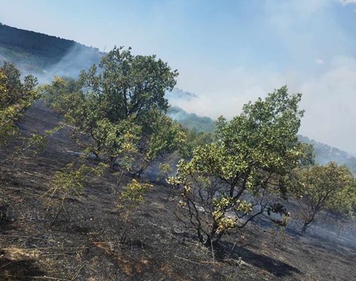 Пожарът в района на село Сърнегор.