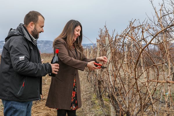 Посланичката зарязва лозя в село Смочево. СНИМКИ: ПОСОЛСТВО САЩ