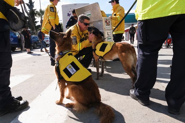 Спасителни кучета на летището в Адана СНИМКА: Ройтерс