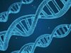 Редактирането на гени предизвиква генни 
мутации