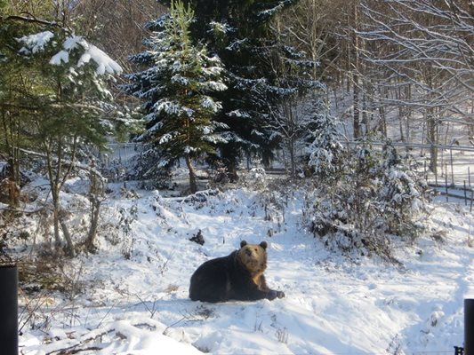 Сузана се радва на снега