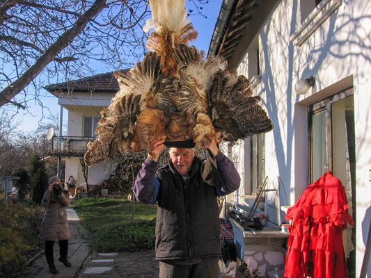 77-годишният Методи Десов показва една от сурвакарските маски, които той е изработил от дърво и пера от кокошки и пуйки.
СНИМКА: ГЕОРГИ КЮРПАНОВ