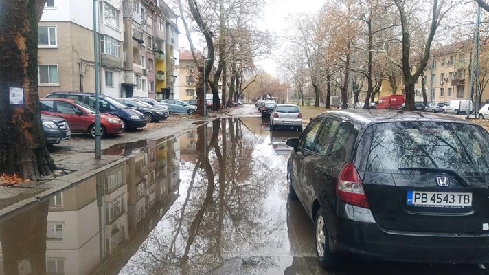 От изпопадалите листа от чинарите шахтите са запушени и не могат да поемат водата по улица "Младежка" в Пловдив.