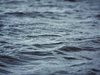 81-годишен пловдивчанин се удави на централния плаж в Лозенец