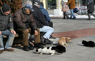 Българите пак отчаяни като при световната криза преди 13 години (Графика)