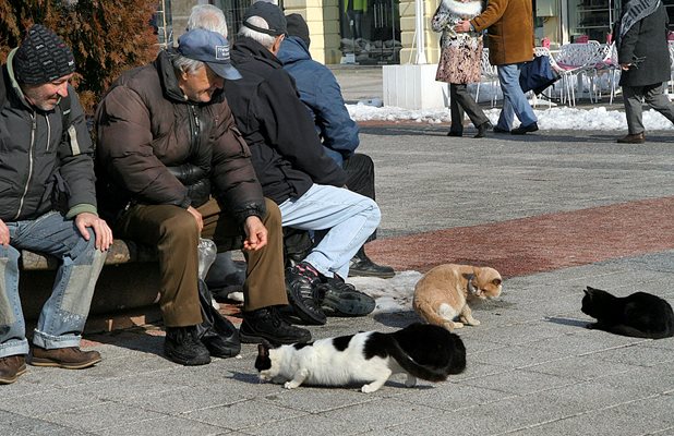 Пенсионери