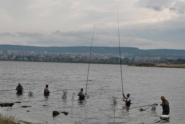 Смели риболовци ловят на захранка с хляб платерини в новия канал море-езеро във Варна