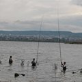 Смели риболовци ловят на захранка с хляб платерини в новия канал море-езеро във Варна