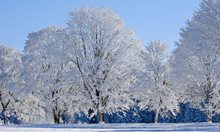 Ледена епоха - минус 15 градуса в България се очакват в края на седмицата