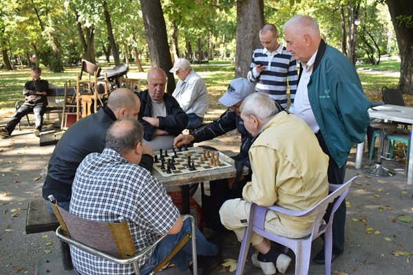 Шахматистите в парка бяха по-малко от обикновено.