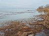 Мъртви водорасли вмирисаха бургаското езеро Вая