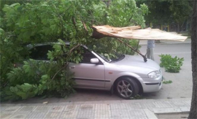 Дърво се стовари върху кола в движение