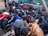 Хванаха осем нелегални мигранти в товарен влак