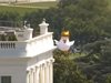 Надуваемо пиле полетя на поляната зад Белия дом (Видео)