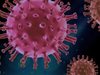 35 нови случая на коронавирус в Гърция за денонощие