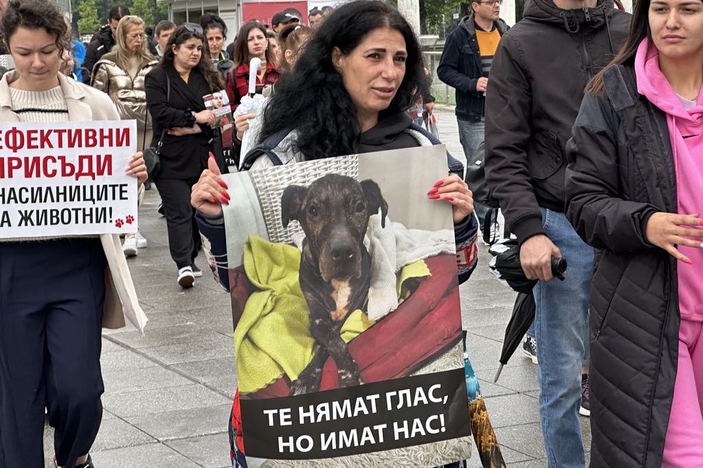 Пловдивчани на протест за пребитото куче Джеси: Съд за садистите (Снимки)