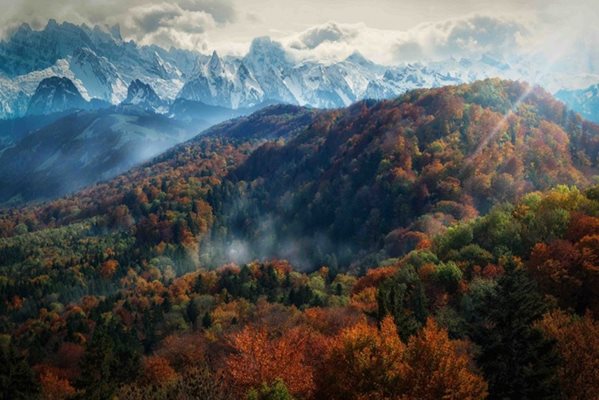 Алпите, Швейцария