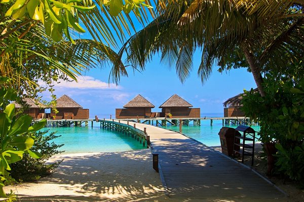 Малдивите са една от най-желаните дестинации в света