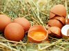 Яйцата подпомагат растежа на малките деца