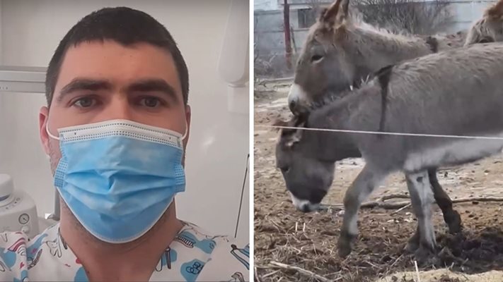 Стоматолог отглежда магарета и се занимава със земеделие