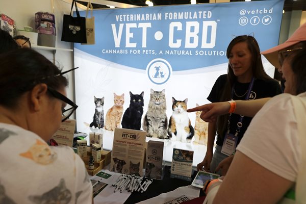 Все повече ветеринари препоръчват използването на CBD за домашни любимци.