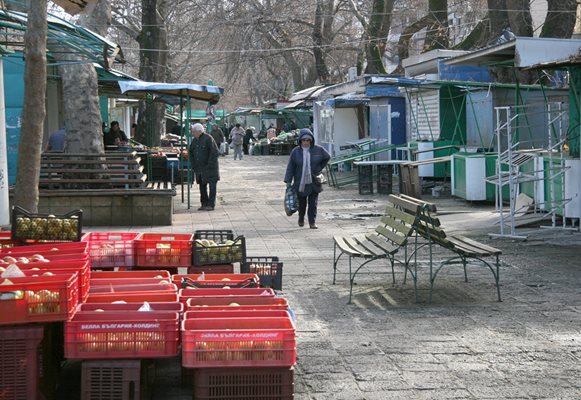 Сергиите са разположени между големите чинари.