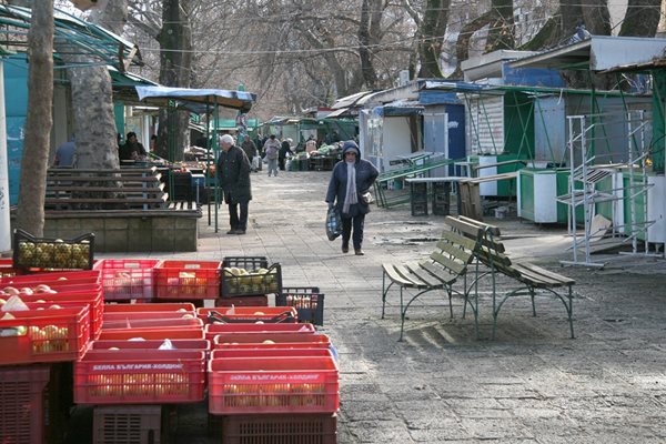 Сергиите са разположени между големите чинари.