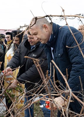 Президентът Радев хвана и лозарска ножица.
Снимка: Президенство на Република България