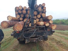 Камион с "дублиран" курс превозвана дървесина задържаха екипи на Югозападното държавно предприятие. СНИМКА: ЮЗДП