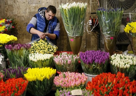 Пролетните цветя за пиршество за сетивата.