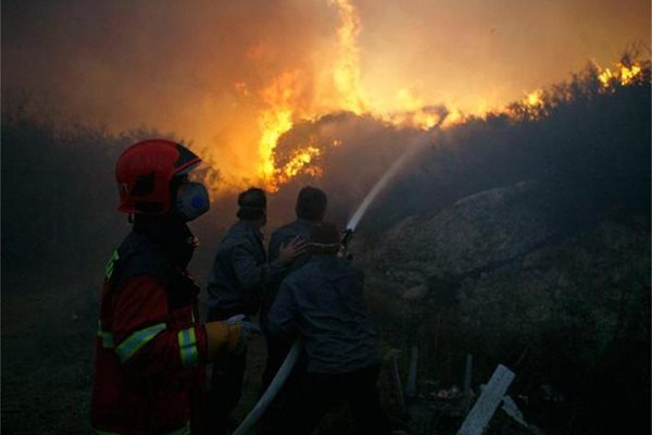Огнеборци и самолети се включиха в гасенето на пожара в гората край Тират Хакармел.
СНИМКИ: РОЙТЕРС