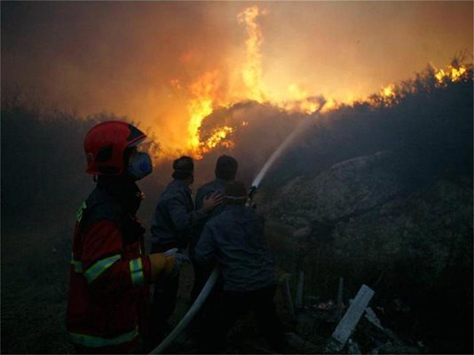 Огнеборци и самолети се включиха в гасенето на пожара в гората край Тират Хакармел.
СНИМКИ: РОЙТЕРС