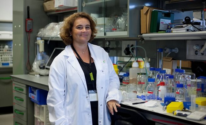 Елизабет Енгелс Лопес е ръководител на екипа за възстановителни терапии чрез биоматериали в Института по биоинженерство в Барселона.