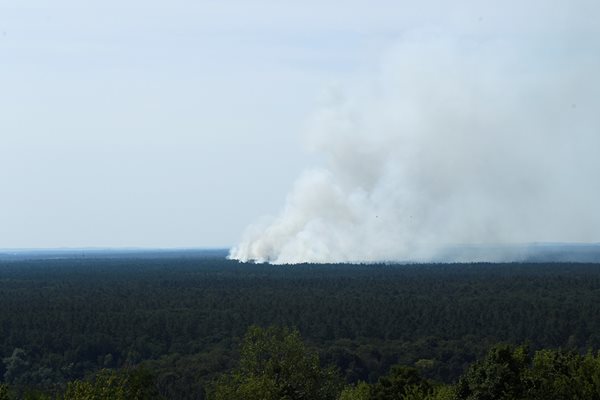 Хеликоптери се включиха в гасенето на пожара в гората Грюневалд.