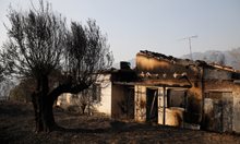 Пожари в Гърция и Турция: Огнената стихия взе жертви