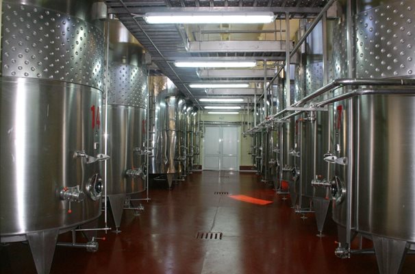 Производството на вино също е сред дейностите, чието финансово подпомагане е предвидено по откритата в края на седмицата нова подмярка.

СНИМКА: “24 ЧАСА”

