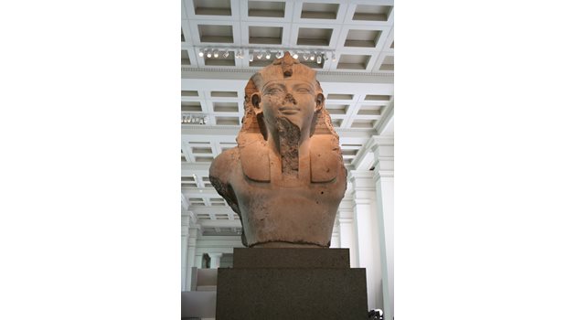Аменхотеп III е част от египетската експозиция в музея, която включва около 110 000 предмета и се смята за най-голямата в света.

