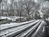 Сняг вали в Прохода на Републиката, пътните настилки се обработват