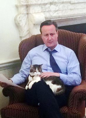 Заради твърдения, че не обича котки, Дейвид Камерън показа снимка с Лари в скута си.