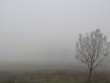 Въведоха извънредни мерки в Македония заради гъстия смог