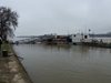 Дунав при Силистра - 714 см и продължава да се покачва, мерят го през час (Снимки)