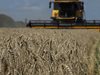 Между 2 и 5 млн. тона зърно на месец ще изнася Украйна