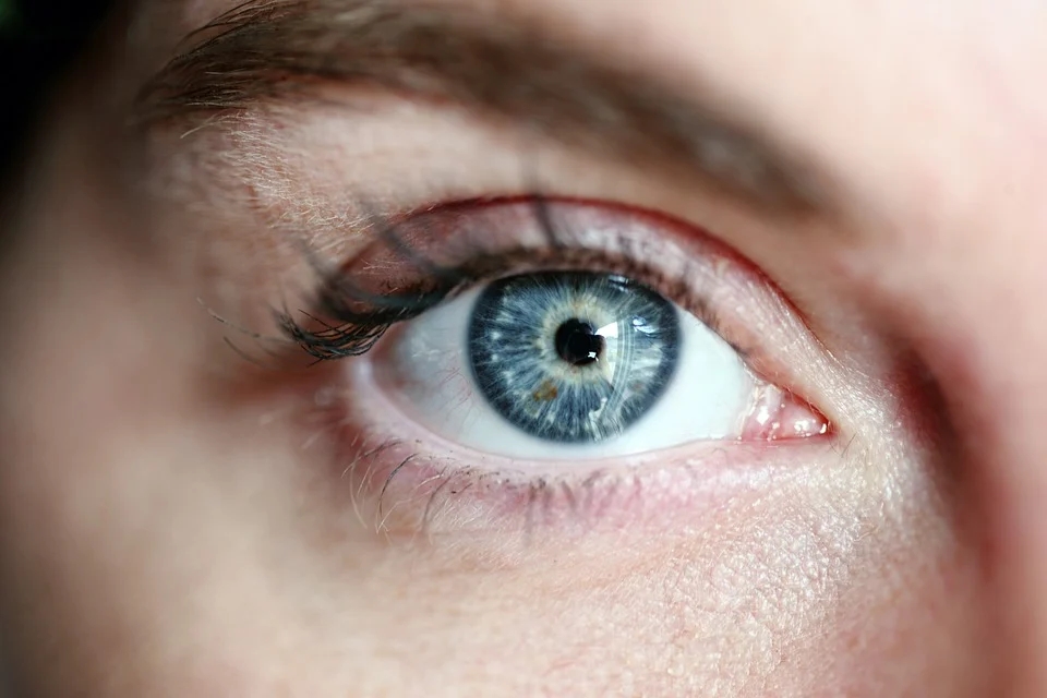 Проучване: Хората със сини очи идват от един общ прародител