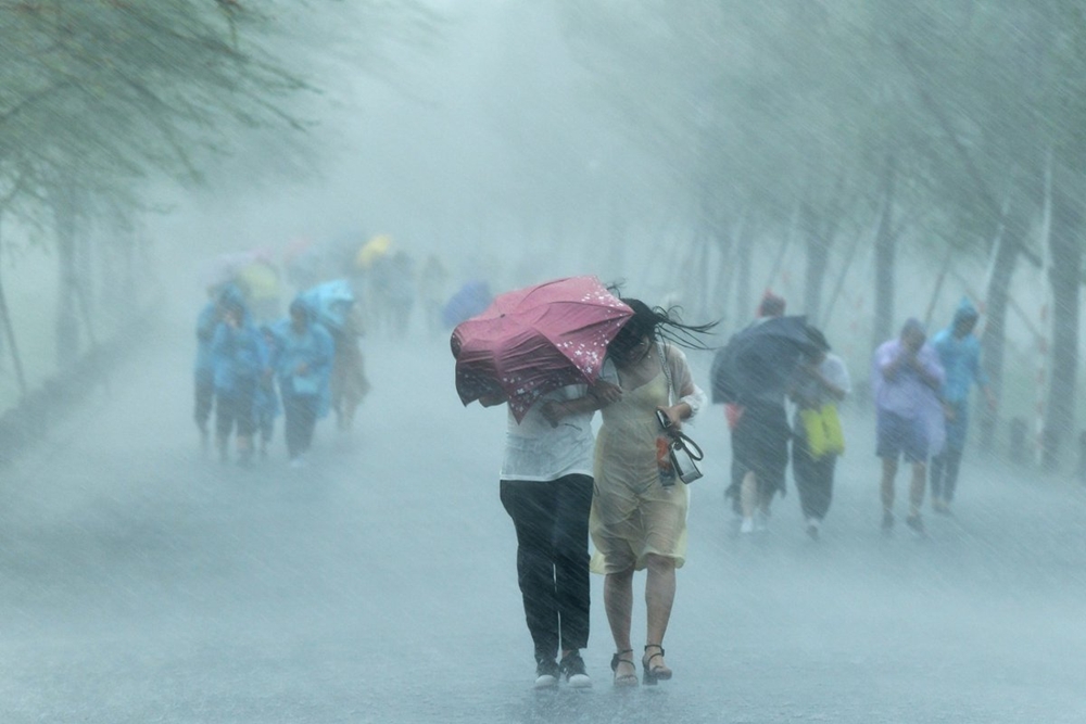 Тайван отмени полети и затвори училища заради тайфуна "Койну"