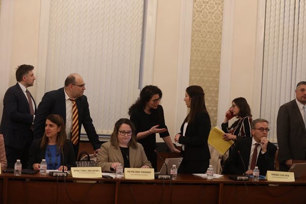 Калина Константинова разговаря с представителите на “Телус” преди началото на комисията. СНИМКА: НИКОЛАЙ ЛИТОВ