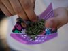 Мексико легализира марихуаната за медицински цели