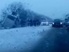 9 деца загинаха, след като камион и автобус се сблъскаха в Русия (видео)